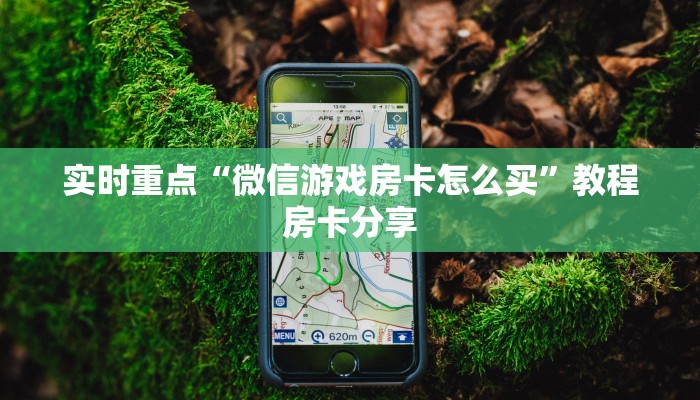 南安县最新疫情消息，防控措施升级，全民齐心抗疫