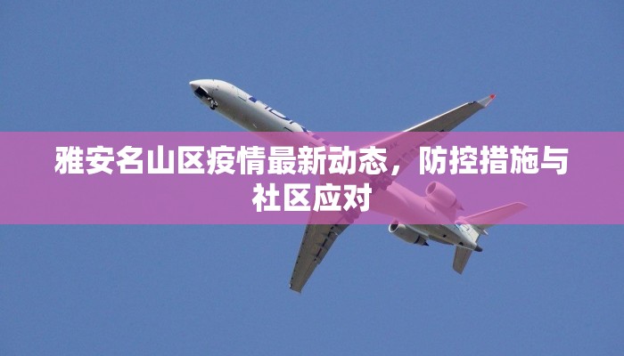 雅安名山区疫情最新动态，防控措施与社区应对