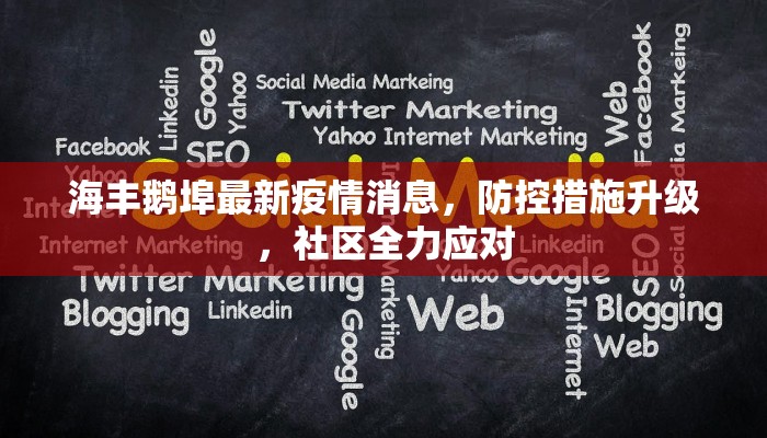 海丰鹅埠最新疫情消息，防控措施升级，社区全力应对
