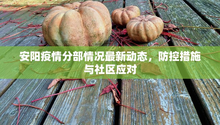 安阳疫情分部情况最新动态，防控措施与社区应对