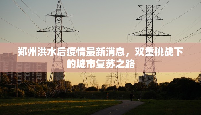 郑州洪水后疫情最新消息，双重挑战下的城市复苏之路