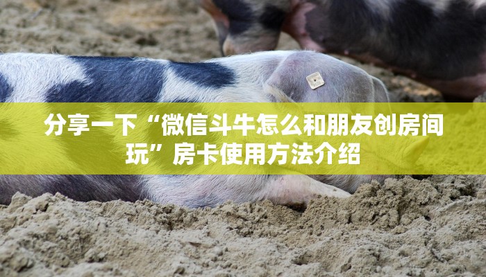 分享一下“微信斗牛怎么和朋友创房间玩”房卡使用方法介绍