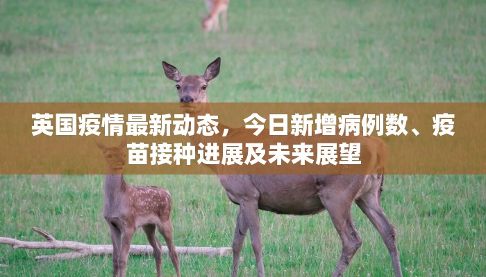 英国疫情最新动态，今日新增病例数、疫苗接种进展及未来展望