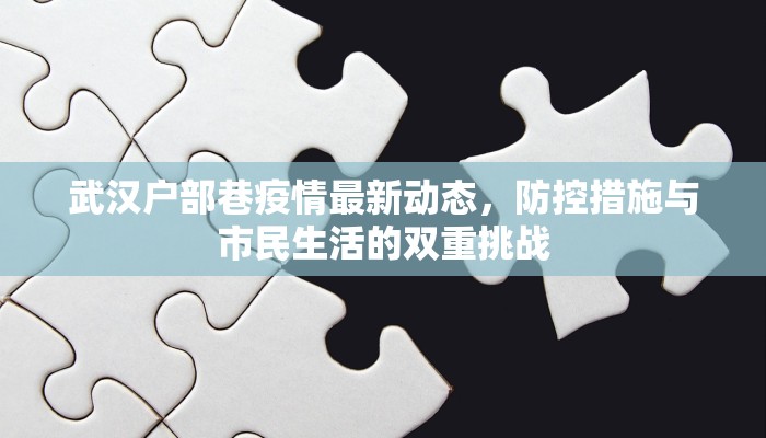 武汉户部巷疫情最新动态，防控措施与市民生活的双重挑战