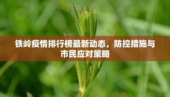 铁岭疫情排行榜最新动态，防控措施与市民应对策略