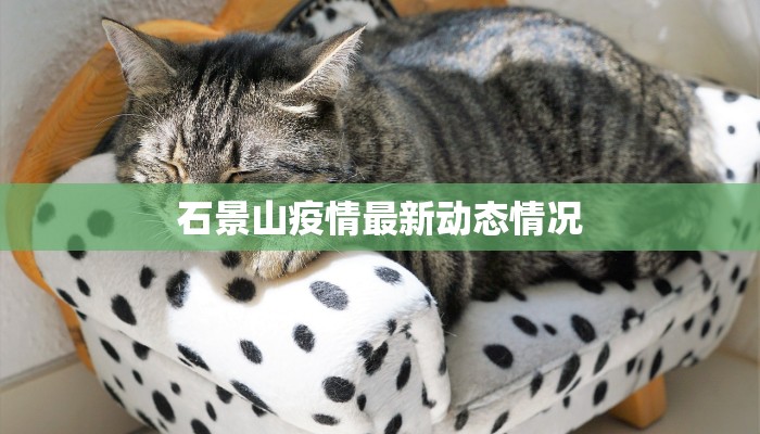 石景山疫情最新动态情况