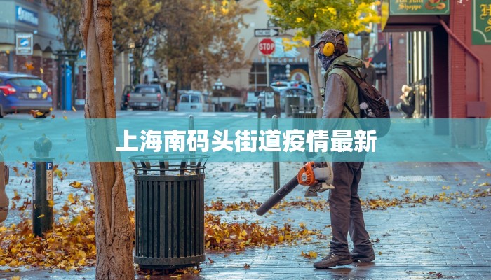 上海南码头街道疫情最新