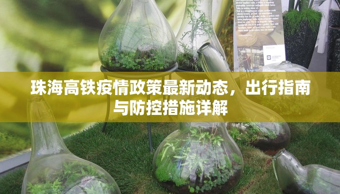珠海高铁疫情政策最新动态，出行指南与防控措施详解