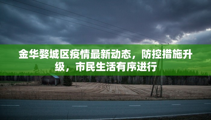 金华婺城区疫情最新动态，防控措施升级，市民生活有序进行