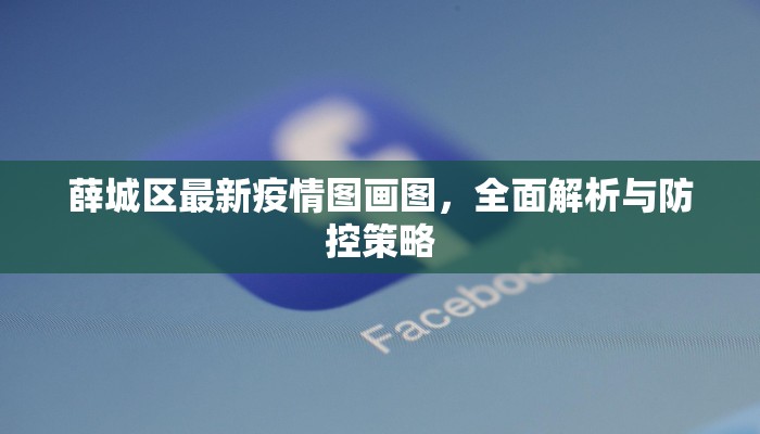 薛城区最新疫情图画图，全面解析与防控策略