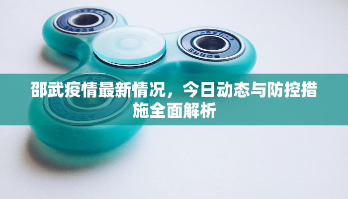 邵武疫情最新情况，今日动态与防控措施全面解析