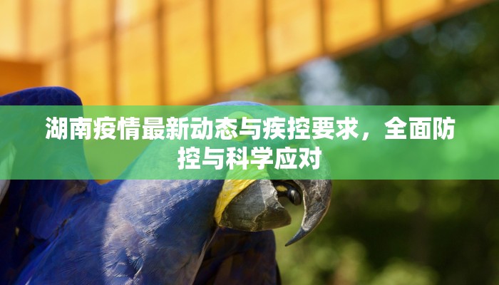 湖南疫情最新动态与疾控要求，全面防控与科学应对