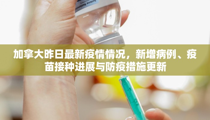 加拿大昨日最新疫情情况，新增病例、疫苗接种进展与防疫措施更新