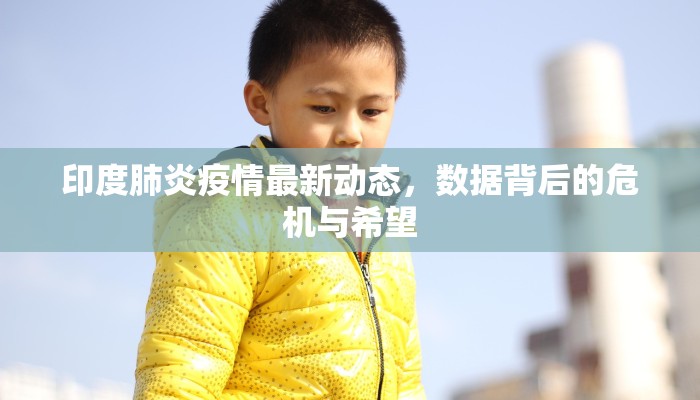 印度肺炎疫情最新动态，数据背后的危机与希望