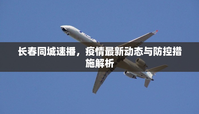 南阳机场疫情最新情况，防控措施、旅客指南与未来展望