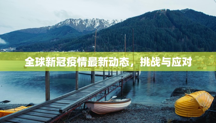 全球新冠疫情最新动态，挑战与应对