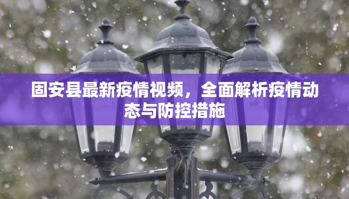 固安县最新疫情视频，全面解析疫情动态与防控措施