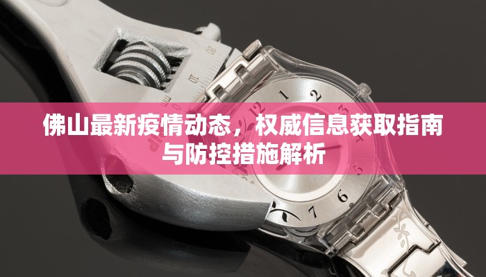 佛山最新疫情动态，权威信息获取指南与防控措施解析