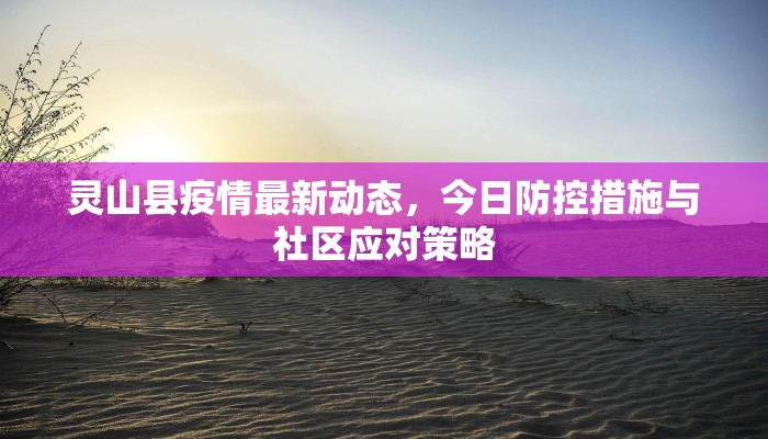 灵山县疫情最新动态，今日防控措施与社区应对策略