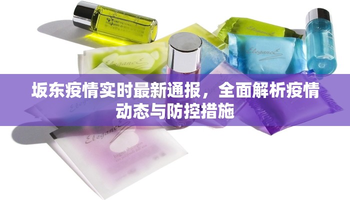 坂东疫情实时最新通报，全面解析疫情动态与防控措施