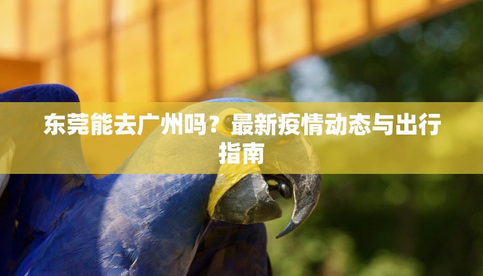 东莞能去广州吗？最新疫情动态与出行指南