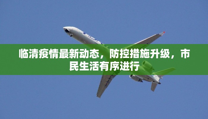 临清疫情最新动态，防控措施升级，市民生活有序进行