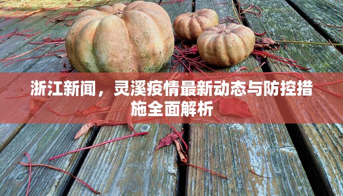 浙江新闻，灵溪疫情最新动态与防控措施全面解析