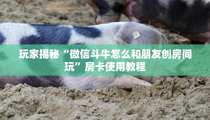 玩家揭秘“微信斗牛怎么和朋友创房间玩”房卡使用教程