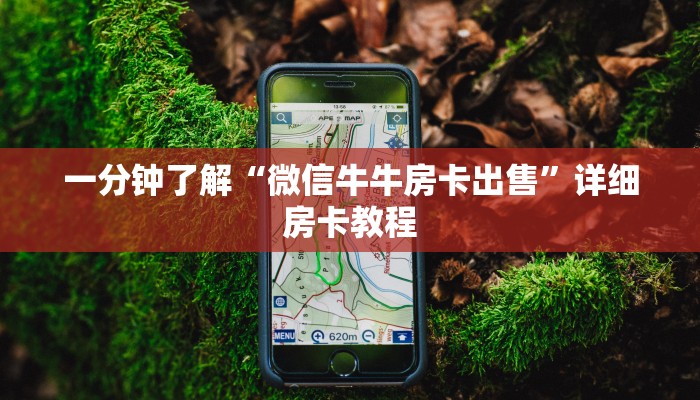 南宫卫健局最新疫情通报，防控措施升级，全民共筑健康防线