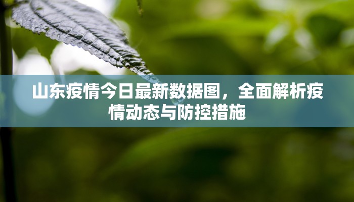 山东疫情今日最新数据图，全面解析疫情动态与防控措施