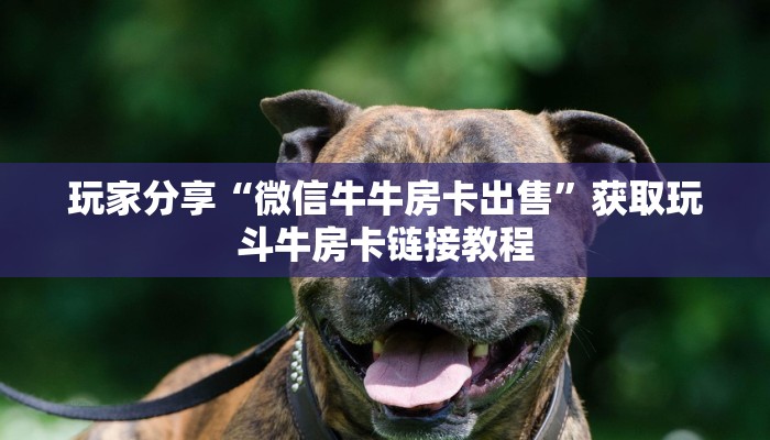 福州鼓楼发现最新疫情，防控措施与市民应对指南