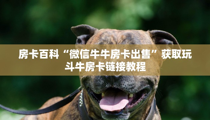 宿迁今日疫情最新通告图，全面解析与防控措施