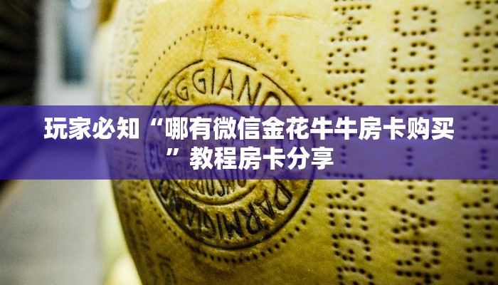 乌苏今天疫情最新情况，防控措施升级，市民生活有序进行