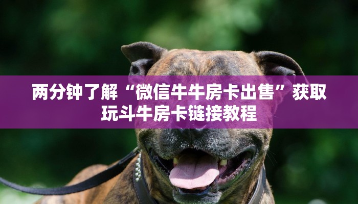 两分钟了解“微信牛牛房卡出售”获取玩斗牛房卡链接教程