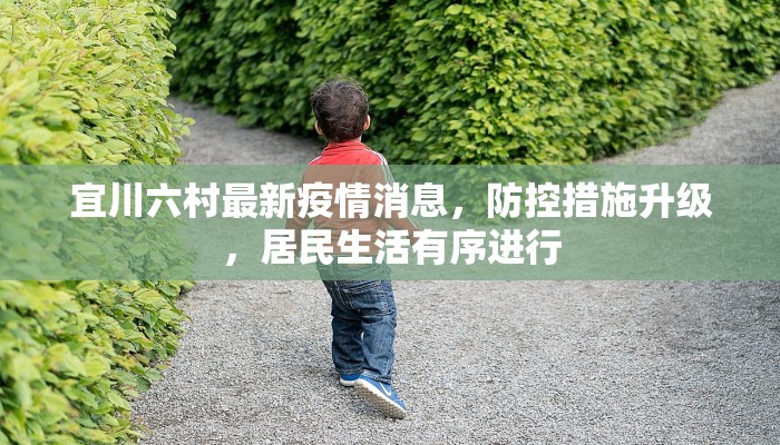 宜川六村最新疫情消息，防控措施升级，居民生活有序进行