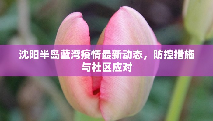 沈阳半岛蓝湾疫情最新动态，防控措施与社区应对