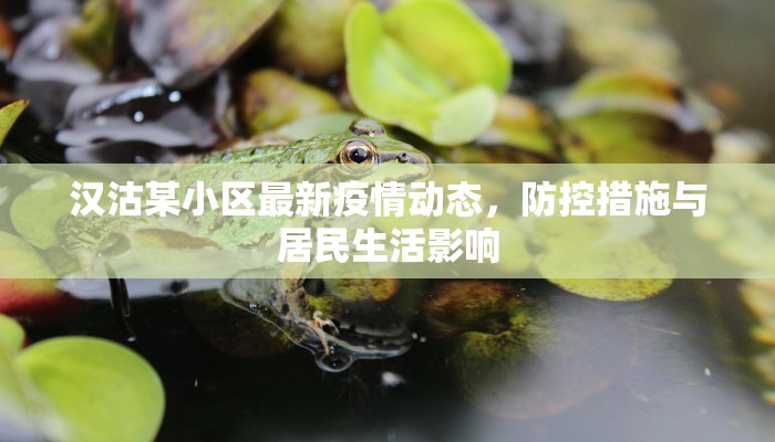 汉沽某小区最新疫情动态，防控措施与居民生活影响