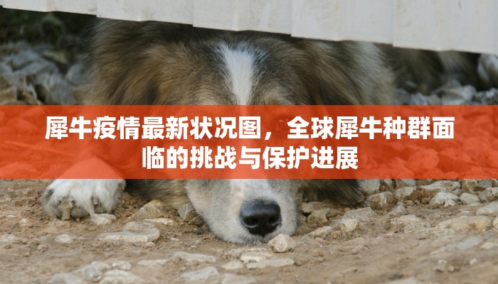 江宁义乌疫情最新情况，防控措施升级，市民生活有序进行