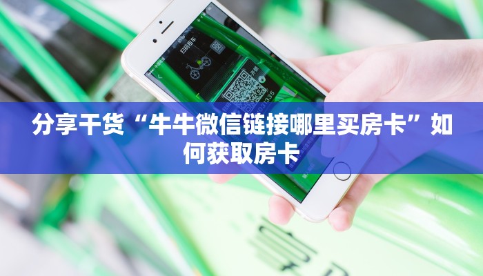 邵阳疫情管控文件最新解读，政策调整与市民应对指南