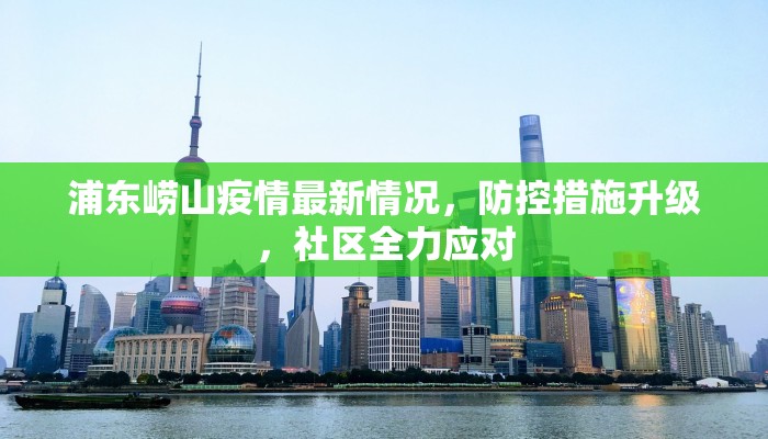 浦东崂山疫情最新情况，防控措施升级，社区全力应对