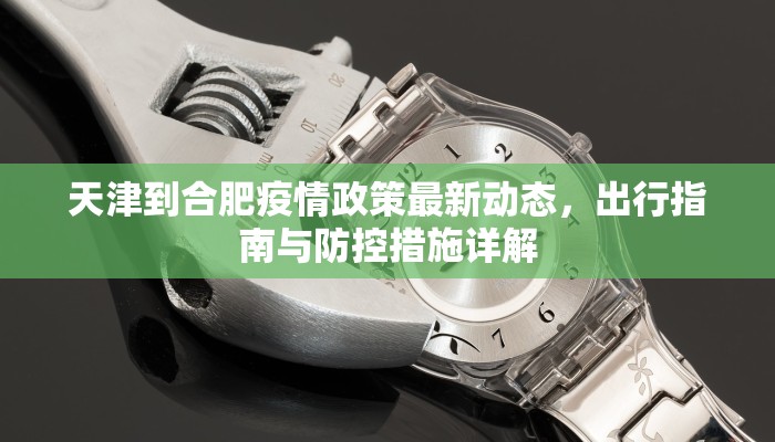 天津到合肥疫情政策最新动态，出行指南与防控措施详解