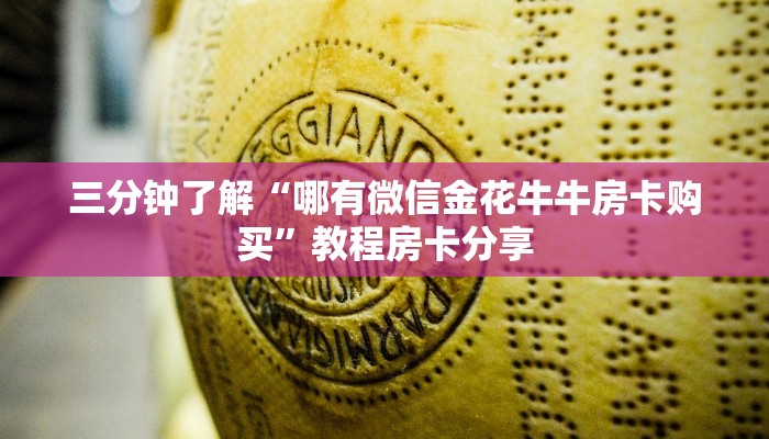三分钟了解“哪有微信金花牛牛房卡购买”教程房卡分享