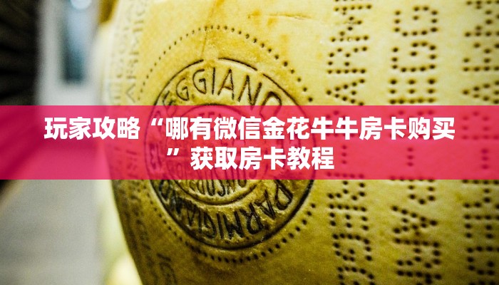 AI房卡科技“皇豪互娱房卡多少钱购买”房卡使用教程