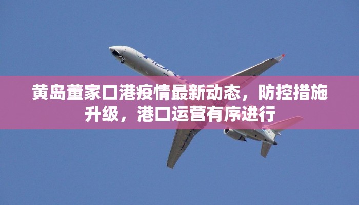黄岛董家口港疫情最新动态，防控措施升级，港口运营有序进行