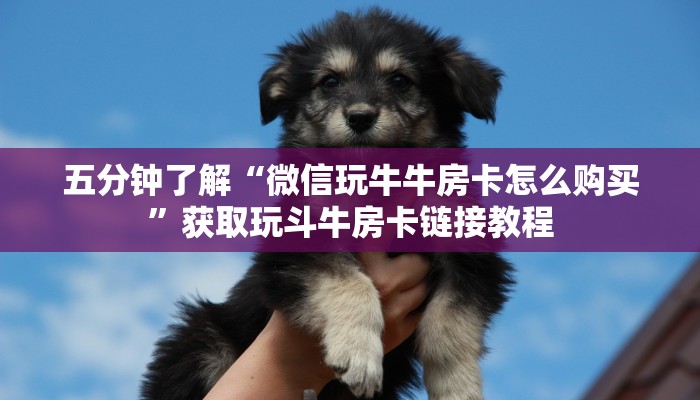 五分钟了解“微信玩牛牛房卡怎么购买”获取玩斗牛房卡链接教程