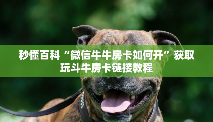 秒懂百科“微信牛牛房卡如何开”获取玩斗牛房卡链接教程
