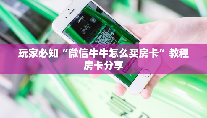 廊坊本轮疫情原因最新解析，溯源、防控与未来展望