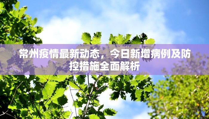 常州疫情最新动态，今日新增病例及防控措施全面解析