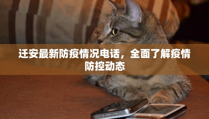 迁安最新防疫情况电话，全面了解疫情防控动态