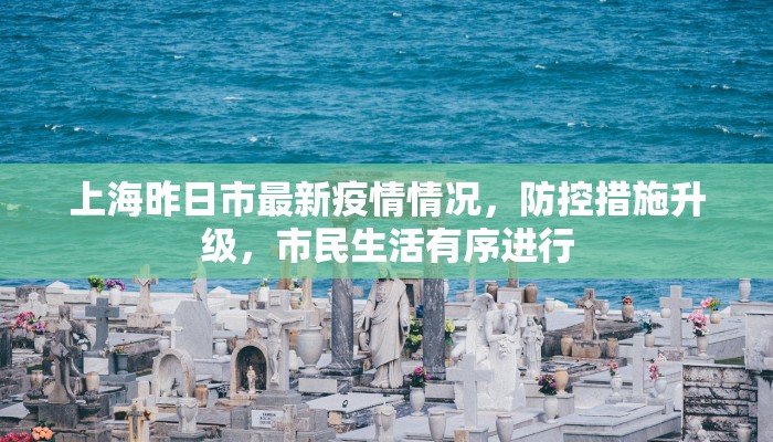 上海昨日市最新疫情情况，防控措施升级，市民生活有序进行